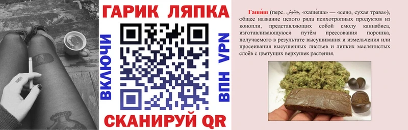 купить   Ветлуга  ГАШ Premium 