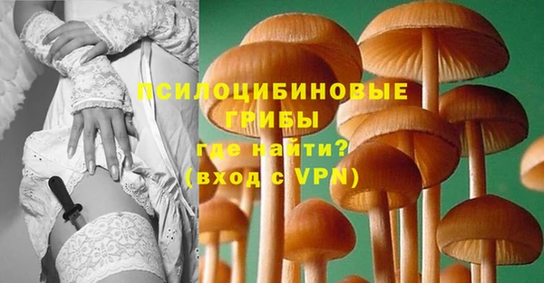 герыч Алзамай