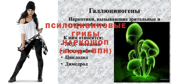 тгк Алексин