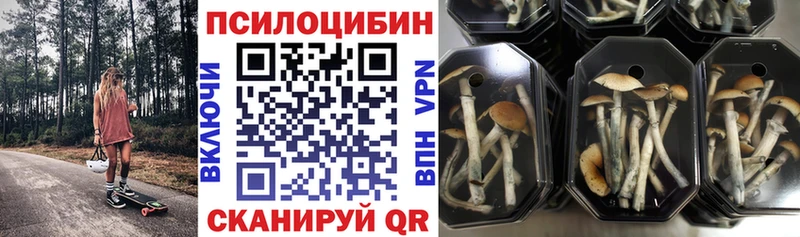 Галлюциногенные грибы GOLDEN TEACHER  Ветлуга 